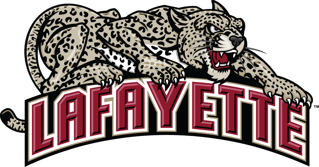 Lafayette Leopards 2000-Pres Alternate Logo v2 diy fabric transfer